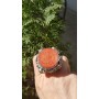 Inel unicat lucrat integral manual în argint Ag925 masiv, coral roșu natural și pietre carneol natural SummerBlush
